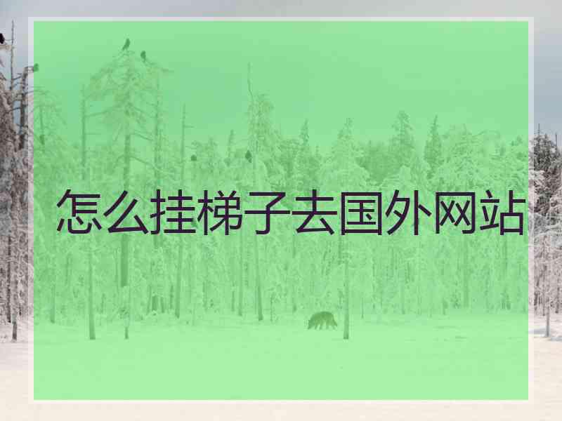 怎么挂梯子去国外网站