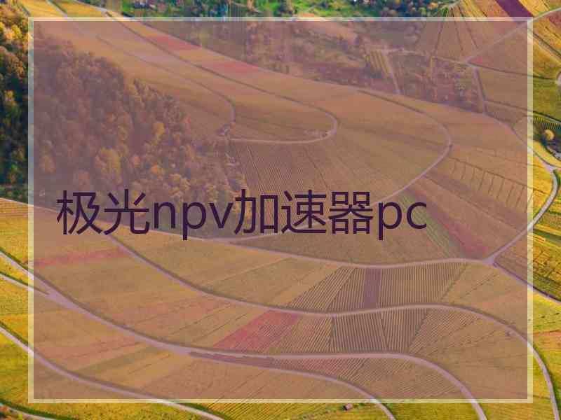极光npv加速器pc
