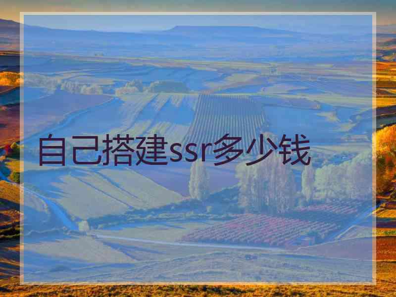 自己搭建ssr多少钱