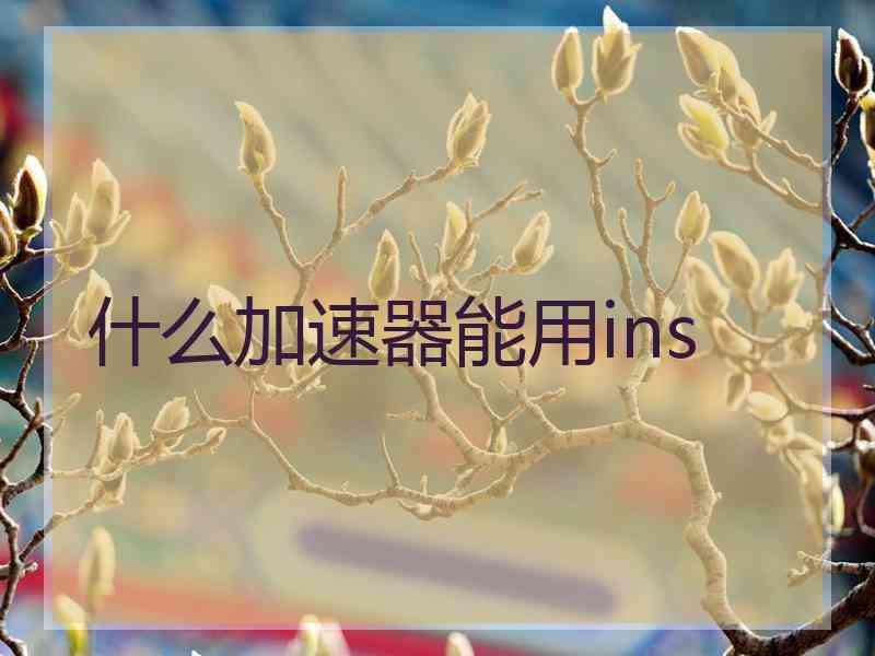 什么加速器能用ins