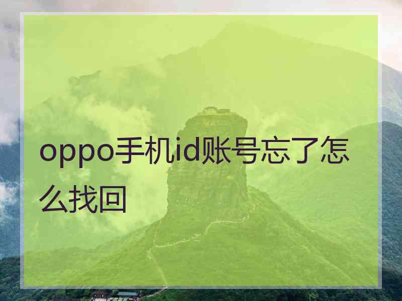 oppo手机id账号忘了怎么找回