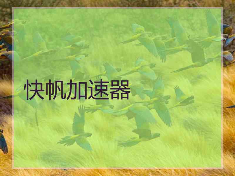 快帆加速器