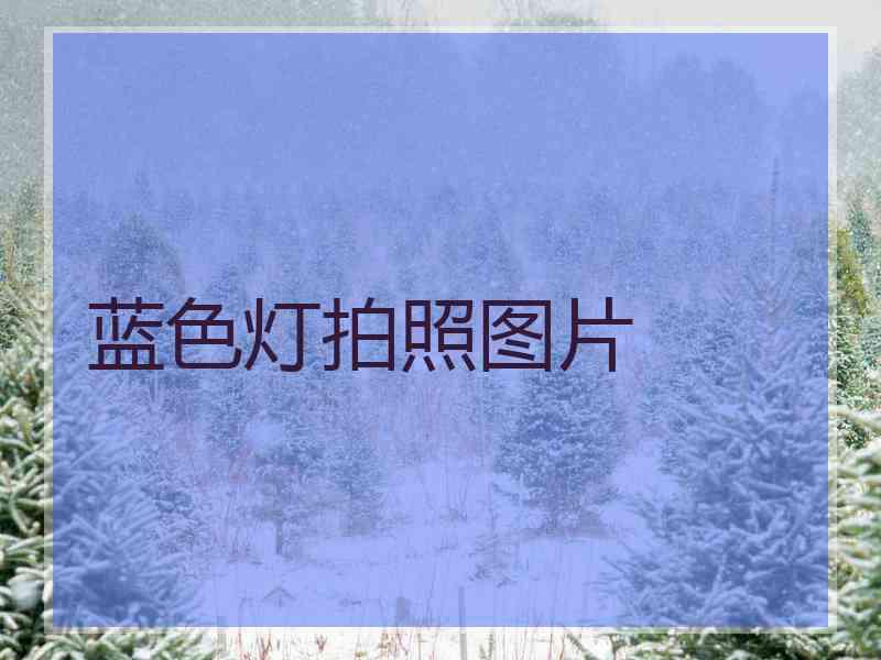 蓝色灯拍照图片