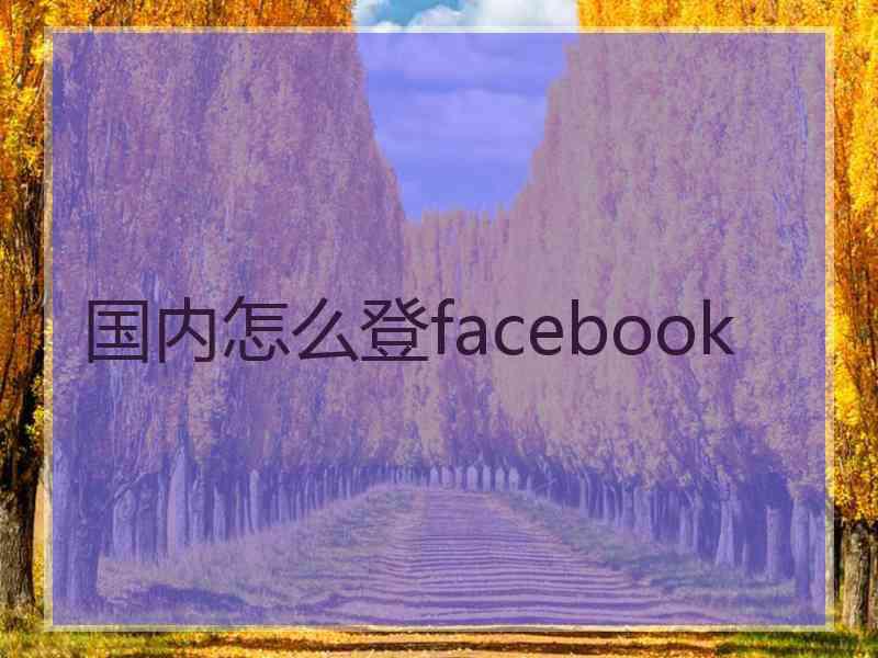 国内怎么登facebook