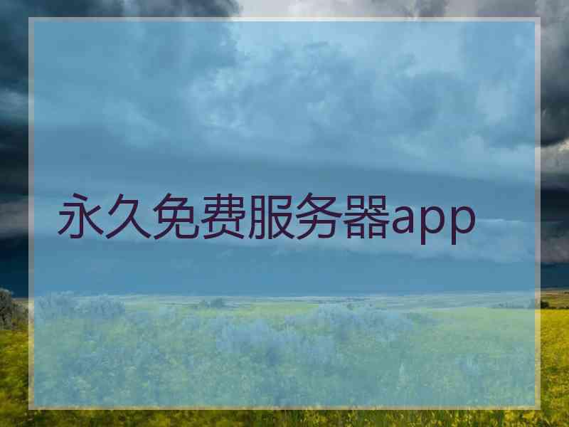 永久免费服务器app