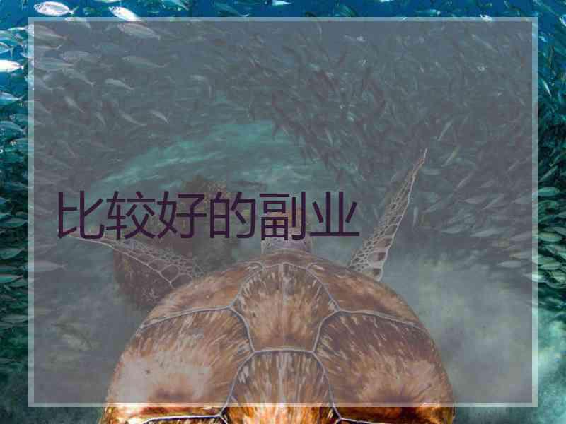 比较好的副业