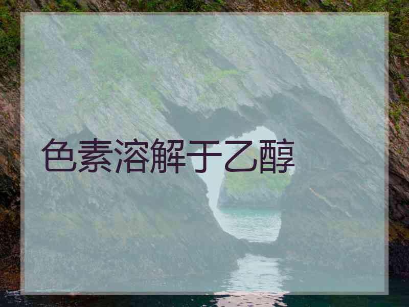 色素溶解于乙醇