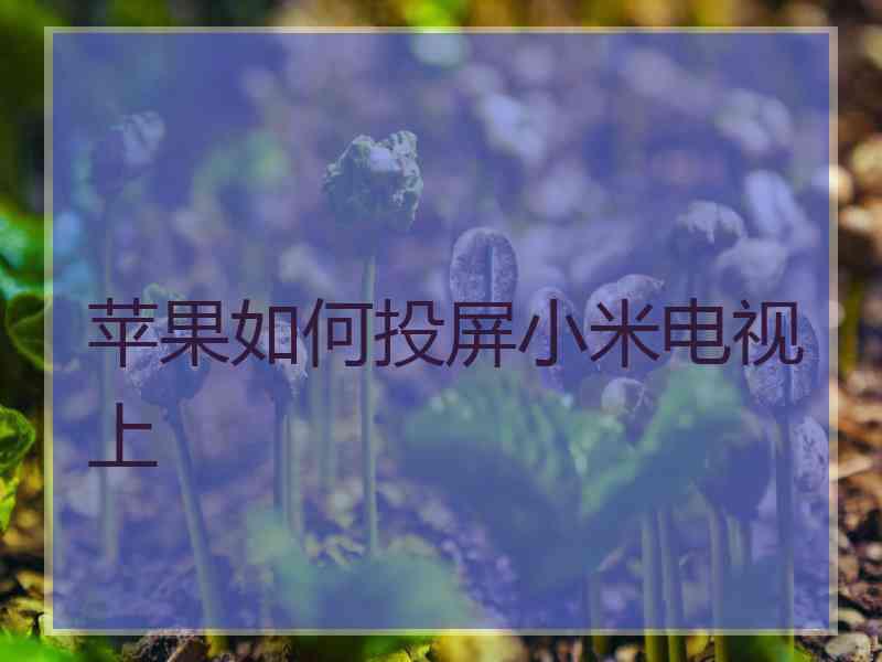苹果如何投屏小米电视上