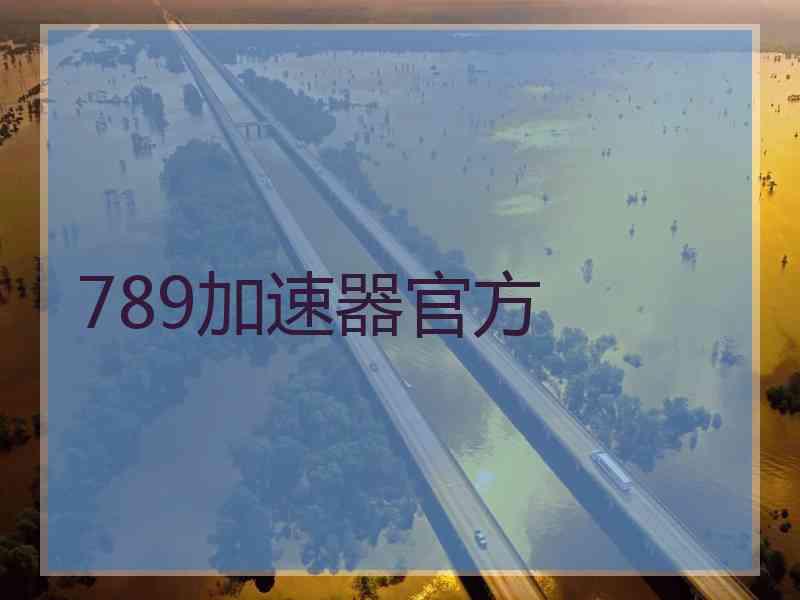 789加速器官方