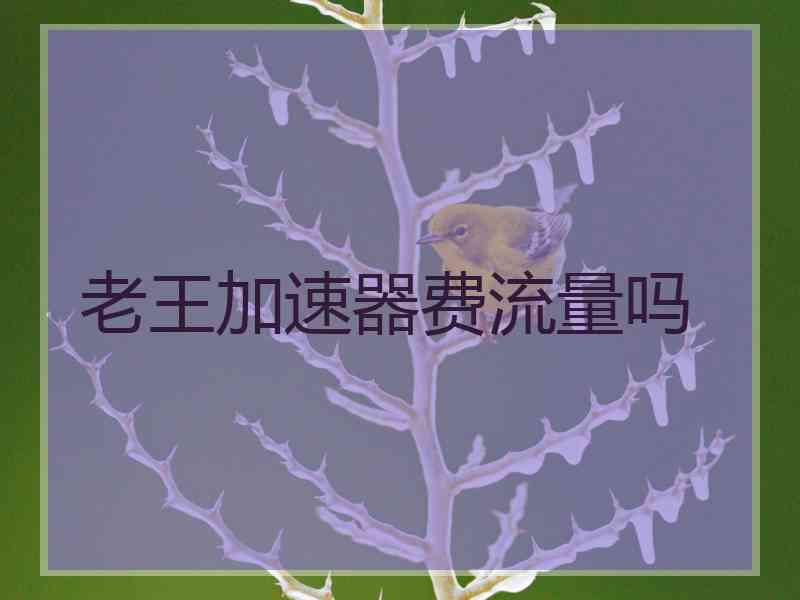 老王加速器费流量吗