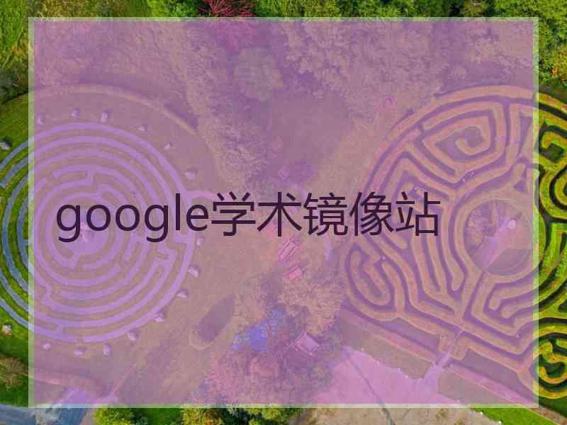 google学术镜像站