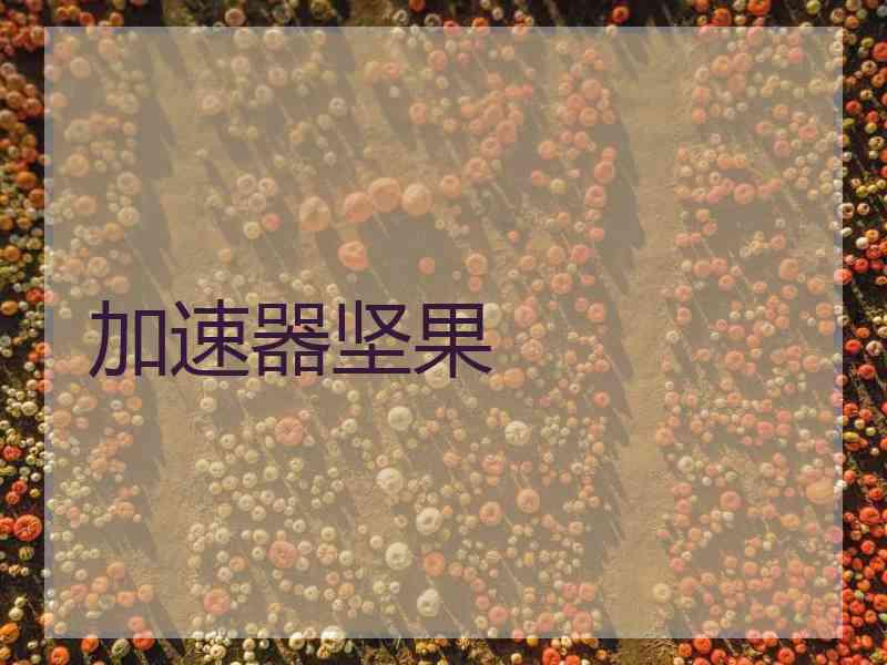 加速器坚果
