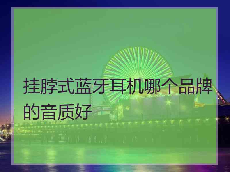 挂脖式蓝牙耳机哪个品牌的音质好