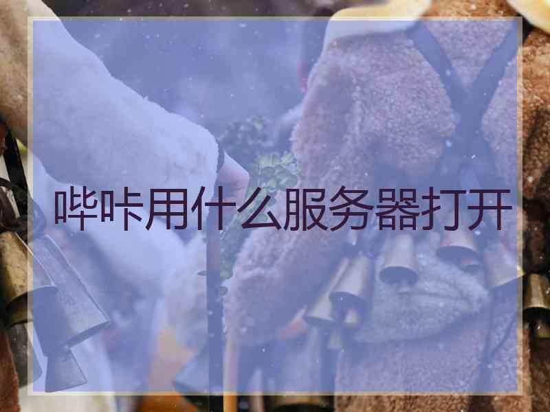 哔咔用什么服务器打开