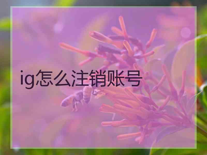ig怎么注销账号