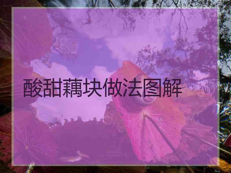 酸甜藕块做法图解