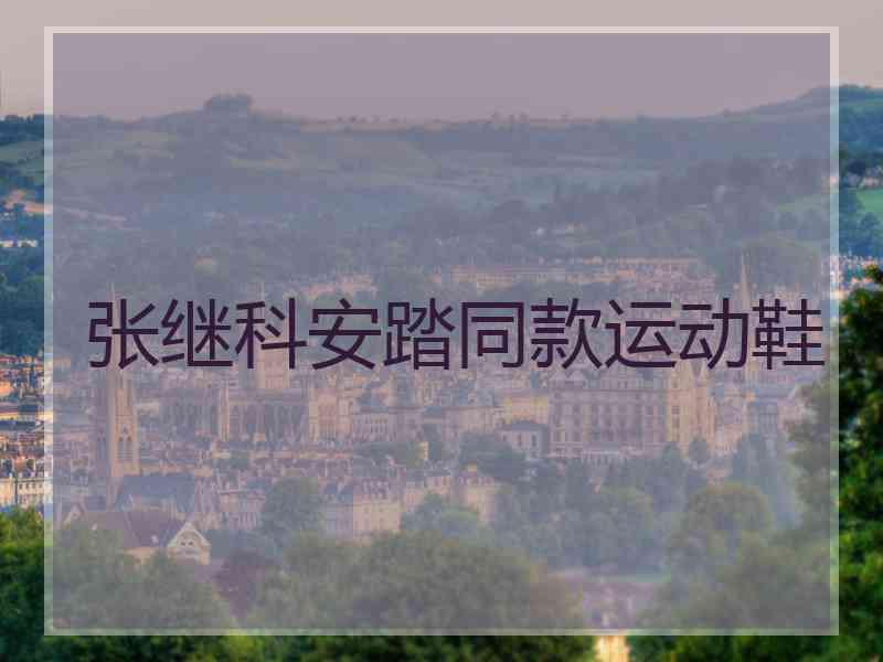 张继科安踏同款运动鞋