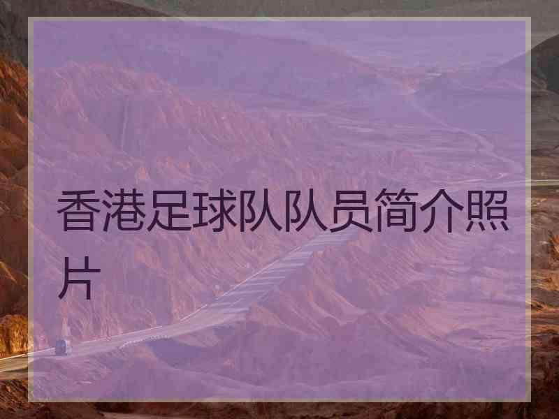 香港足球队队员简介照片