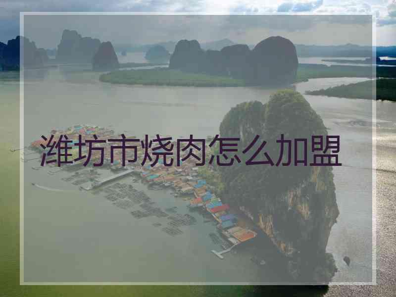 潍坊市烧肉怎么加盟