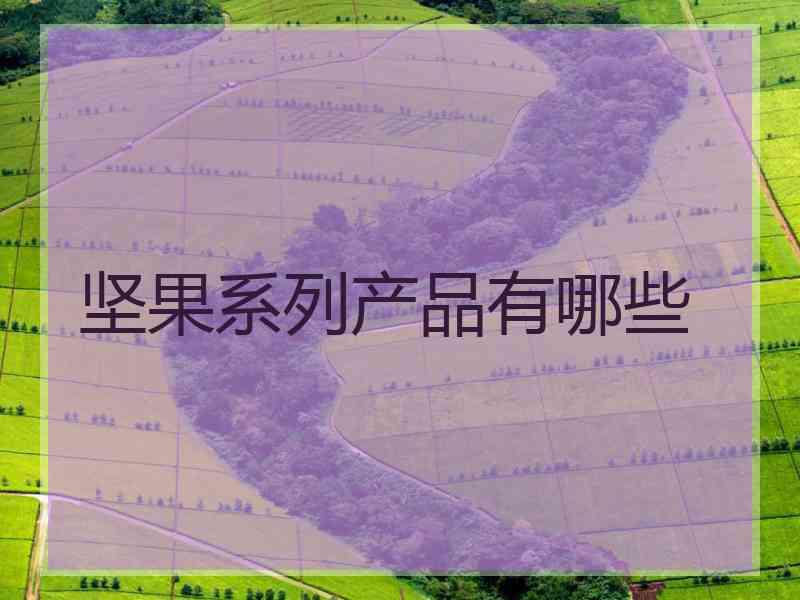 坚果系列产品有哪些
