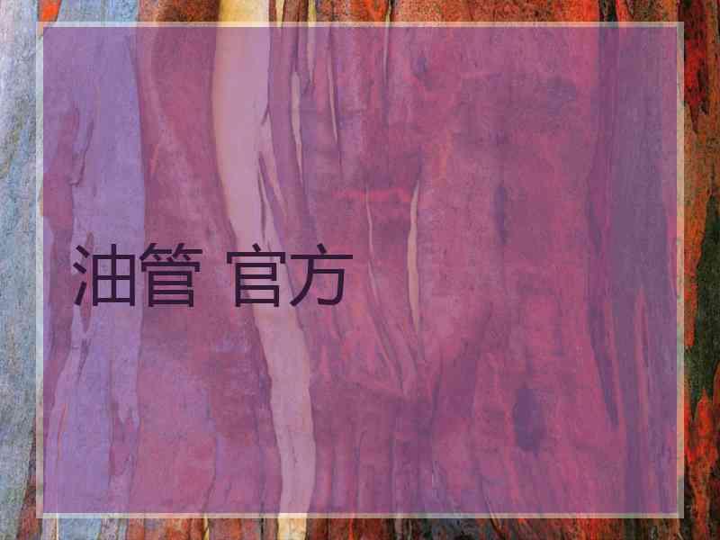 油管 官方