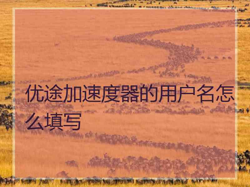 优途加速度器的用户名怎么填写