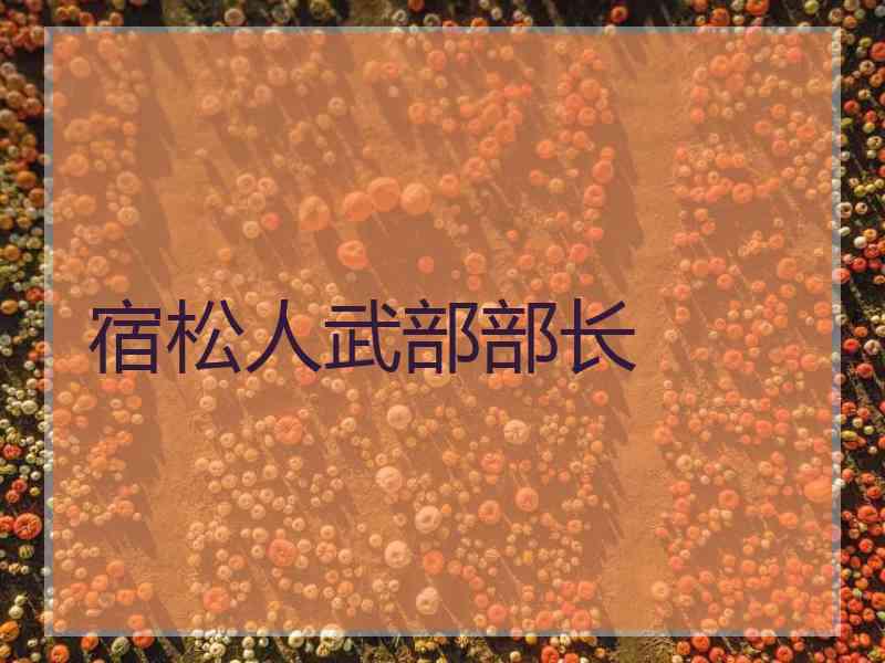 宿松人武部部长