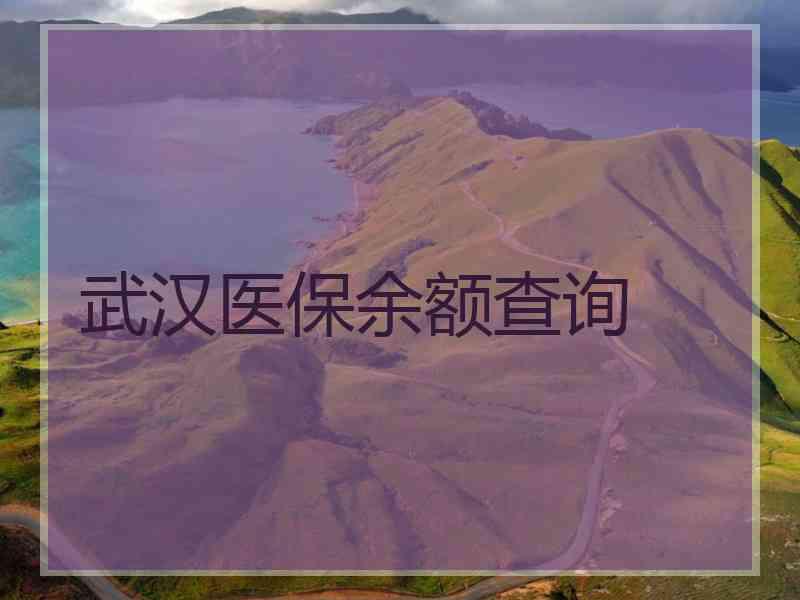武汉医保余额查询