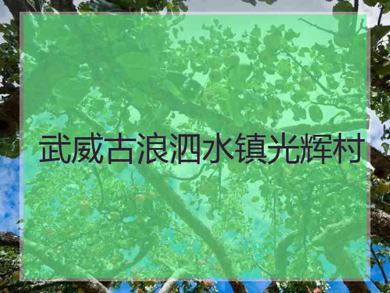 武威古浪泗水镇光辉村