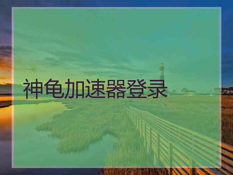 神龟加速器登录