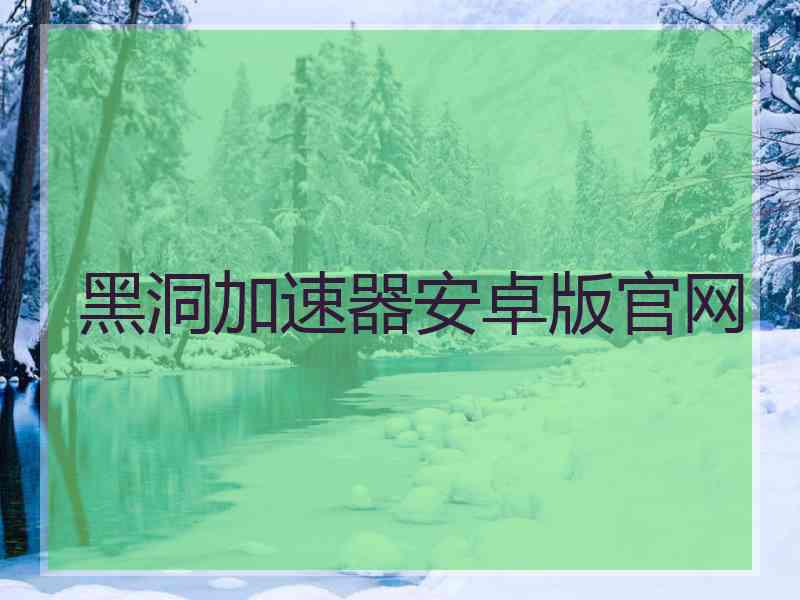 黑洞加速器安卓版官网