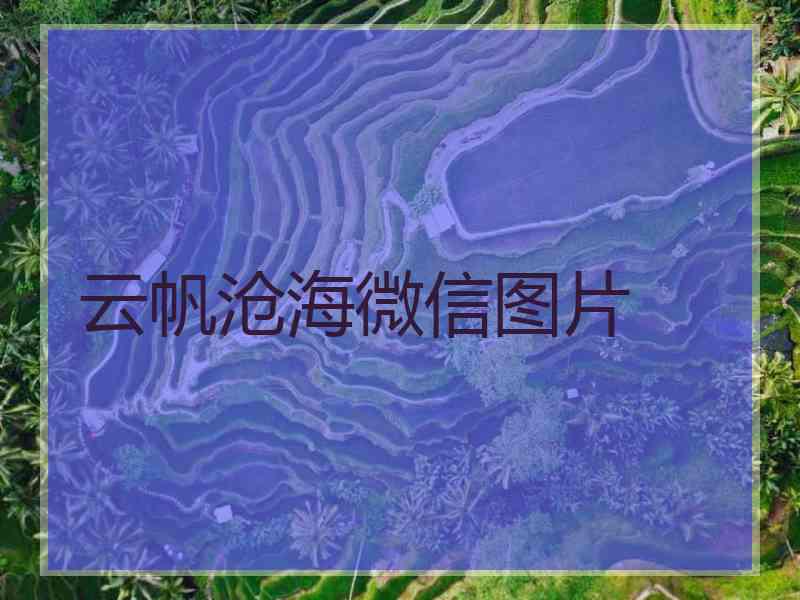 云帆沧海微信图片