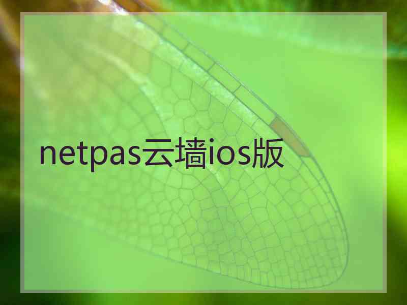 netpas云墙ios版