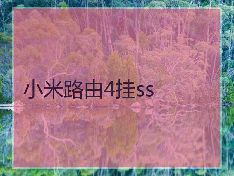 小米路由4挂ss