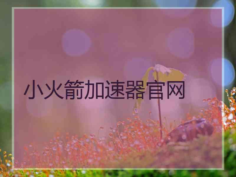 小火箭加速器官网