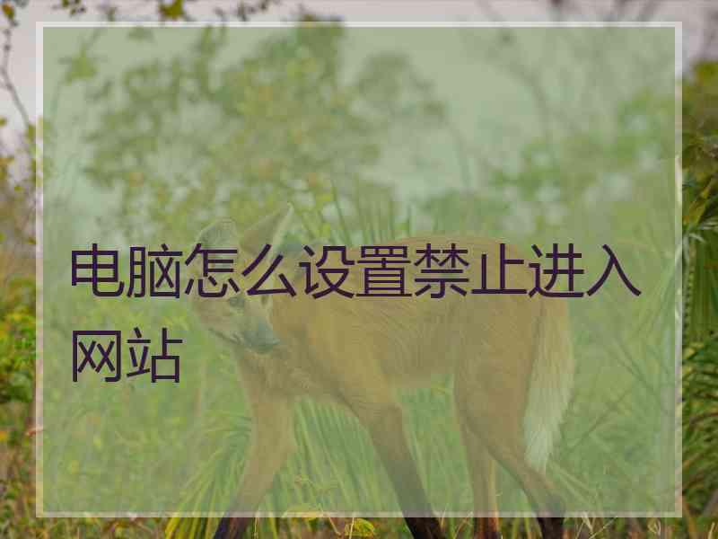电脑怎么设置禁止进入网站