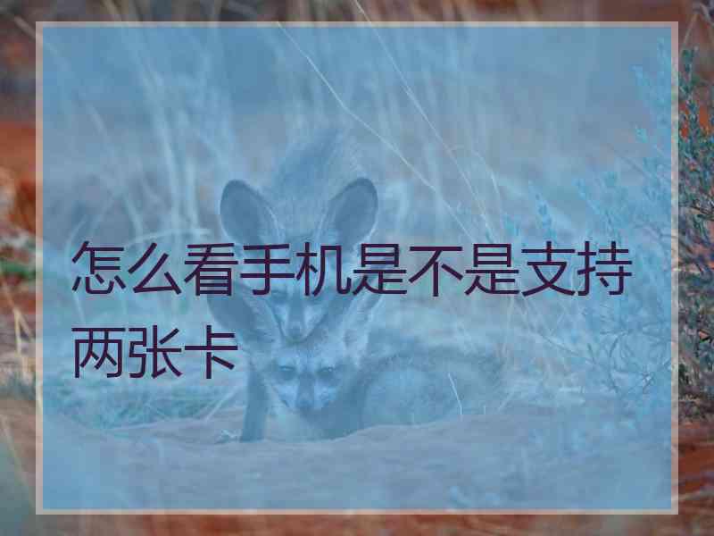 怎么看手机是不是支持两张卡