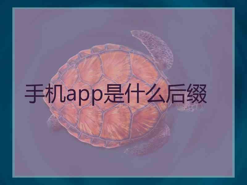 手机app是什么后缀