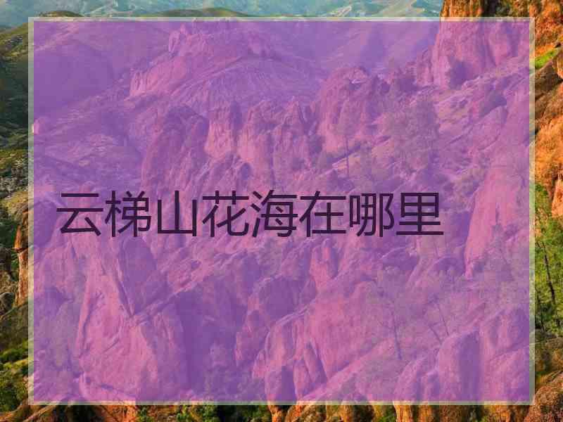 云梯山花海在哪里