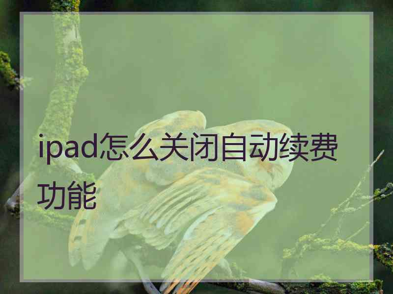 ipad怎么关闭自动续费功能