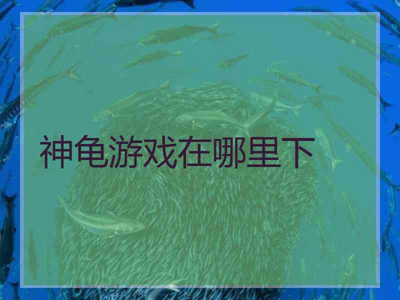 神龟游戏在哪里下
