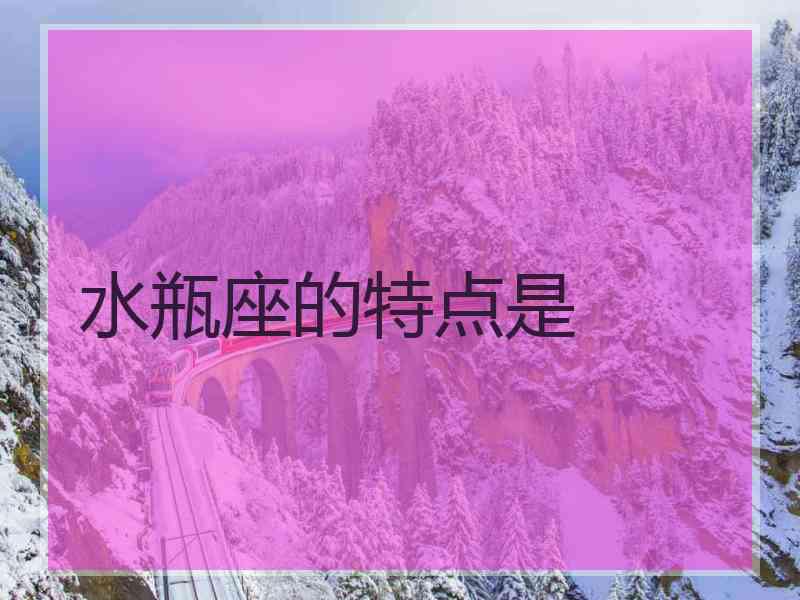 水瓶座的特点是