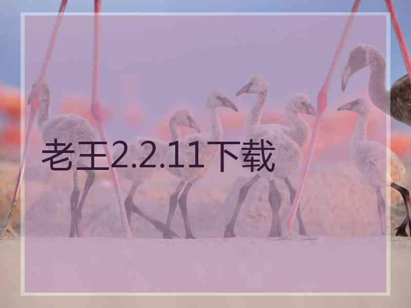 老王2.2.11下载