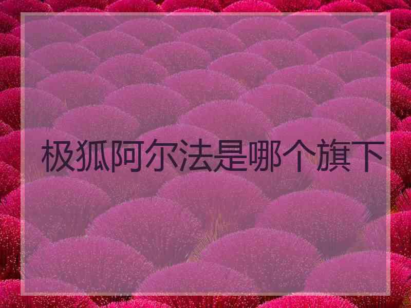 极狐阿尔法是哪个旗下