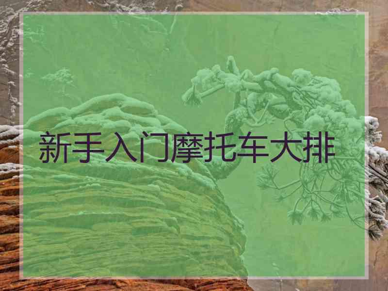 新手入门摩托车大排