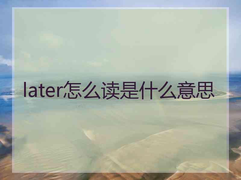 later怎么读是什么意思
