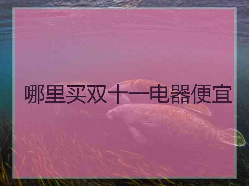 哪里买双十一电器便宜