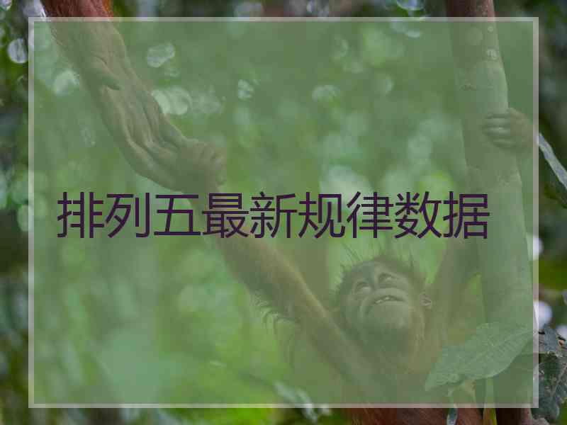 排列五最新规律数据