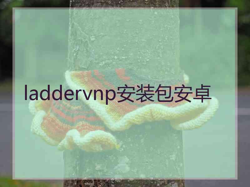 laddervnp安装包安卓