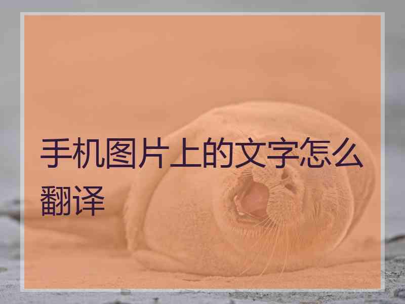 手机图片上的文字怎么翻译